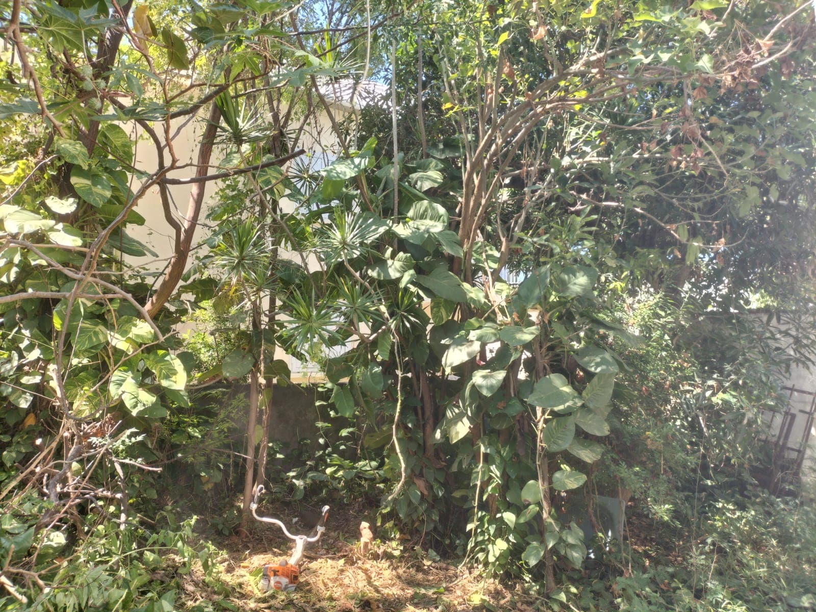 Remise en état — photo 3