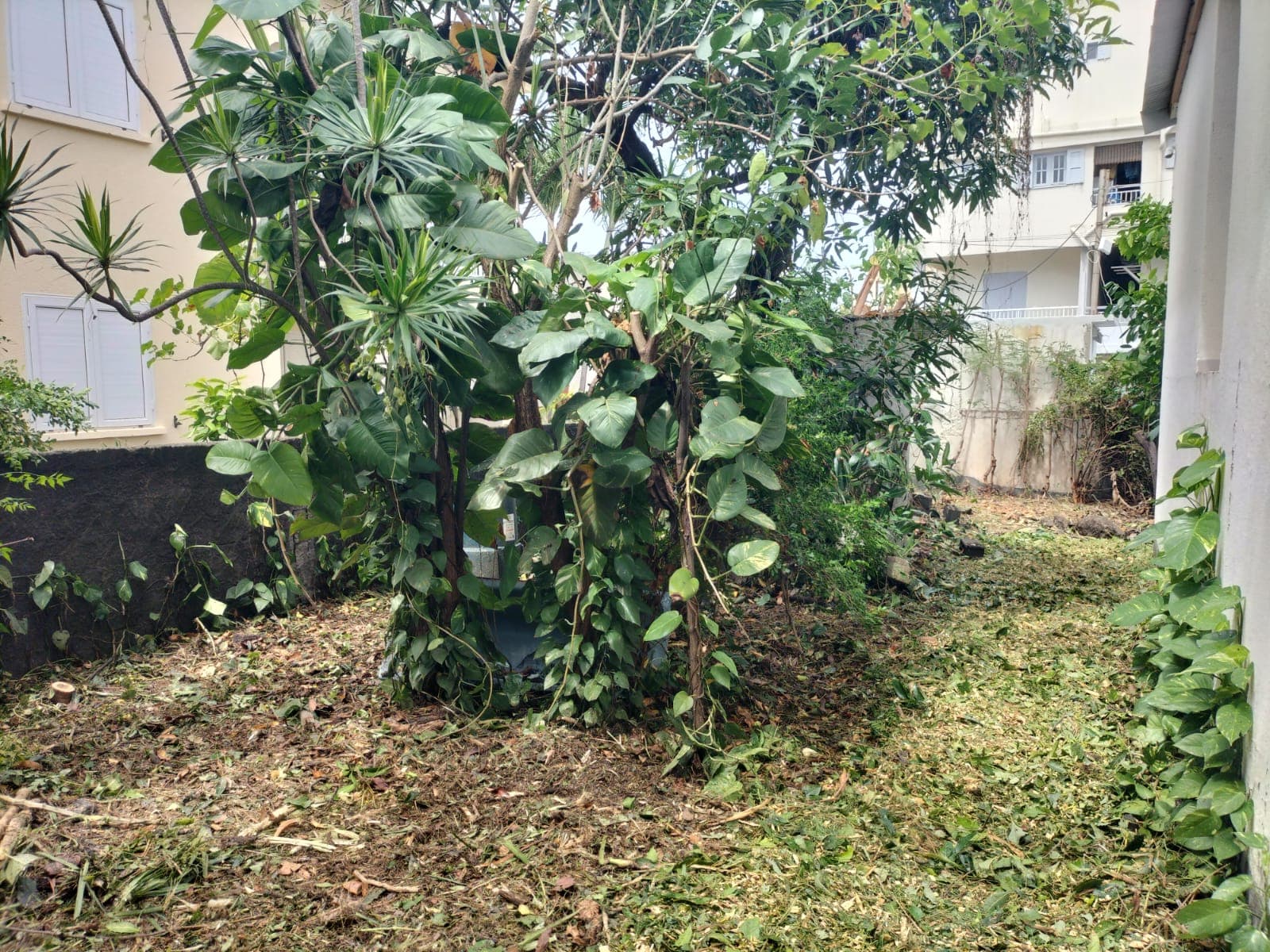 Remise en état — photo 5